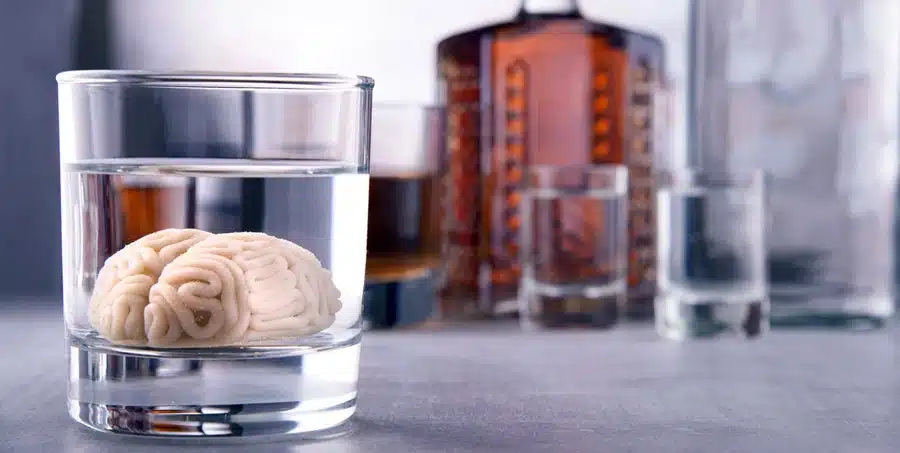 Alcohol Addiction Connected to Wet Brain